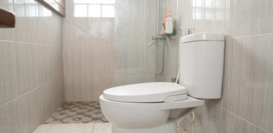Ways To Clean And Make My Toilet Smell Nice