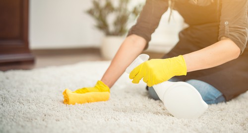 DIY Cleaning Techniques