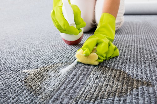 Post-cleaning Care for Your Rug