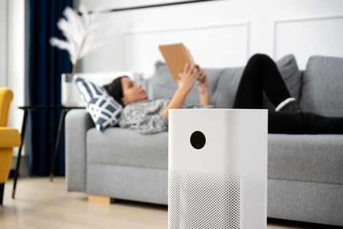Best Practices for Air Purification and Ventilation in Singapore's Climate