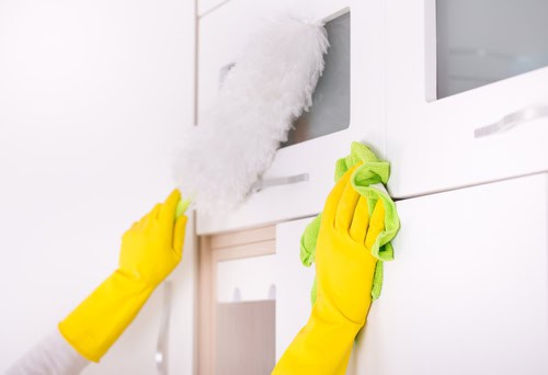 Developing a Customized Cleaning Schedule